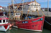 Leben an der Nordsee – Der kleine Fischerort Arbroath ist berühmt für seinen Räucherfisch, den „Arbroath Smokie“.