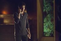 Vampire Diaries – Vampire Diaries (2016)