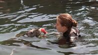 Giraffe, Erdmännchen & Co. – Die Seehunde im Frankfurter Zoo finden den Putztag im Becken richtig lustig.