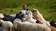 Heimatleuchten – Making-Of Heidi Mitterlehner und Schafe auf der Alm.