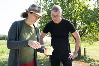 TM Wissen – Obstexpertin Elisabeth Arming (Leitung Fachbereich Obst Verein Arche Noah) mit Unterstützung aus dem Arche Noah-Team bei der pomologischen Untersuchung eines Apfels der Sorte "Waldviertler Böhmer"