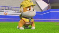 Rubble und Crew – Rubble