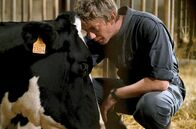 Bloody Milk – Als der erste Fall einer tödlichen Tierkrankheit in seiner eigenen Herde auftritt, steht Pierre (Swann Arlaud) vor der schweren Entscheidung, die Krankheit zu melden – was zur Keulung seiner Tiere führen würde.
