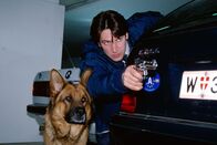 Kommissar Rex – Kommissar Moser (Tobias Moretti) und Rex verfolgen Josef Nowak, den Ex-Mann der ermordeten Eva Münch.