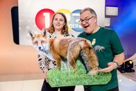 1, 2 oder 3 – Wildtierbiologin Dr. Sophia Kimmig (l.) klärt im Studio über den Fuchs auf.