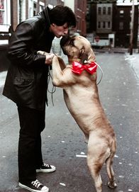 Rocky – Rocky Balboa (Sylvester Stallone)