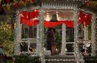 Gilmore Girls – Während Rory noch immer nicht mit Lorelai (Lauren Graham, r.) spricht, sorgt Luke (Scott Patterson, l.) mit einem Heiratsantrag für eine Dosis Glück in Lorelais Leben ...