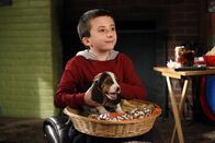 The Middle – Will sich unbedingt um den Hund seiner Tante kümmern: Brick (Atticus Shaffer) ...