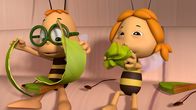 Die Biene Maja – "Die Biene Maja", "Das Honig-Diplom." Frau Kassandra ist krank und so springt Richter Bienenwachs für sie als Vertretungslehrer ein. Sehr zum Leidwesen der Bienenschüler, denn der Unterricht bei Bienenwachs ist sehr langweilig. Außerdem verlangt der Richter, dass die Schüler das "Bienenstockzertifikat" ablegen. Dazu müssen sie eine Menge Theorie auswendig lernen, was natürlich allen missfällt. Maja bittet Frau Kassandra auf der Krankenstation um Hilfe, aber sie ist zu krank um zu helfen. In ihrer Not geht Maja auch zur Bienenkönigin, und zusammen kommen sie auf eine Idee, wie sie dem Richter seinen eigenen Unterricht verleiden können. Der Plan klappt und so muss die Bienenklasse am Ende kein Diplom machen, sondern macht mit dem Richter einen Ausflug in die Wiese. So wie sonst mit Frau Kassandra.