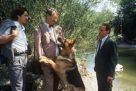 Kommissar Rex – Rex begrüßt den Gerichtsmediziner Leo Graf (Gerhard Zemann, mi.), Kommissar Richie Moser (Tobias Moretti, li.) und Ernst Stockinger (Karl Markovics, re.).
