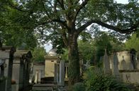 Der ewige Garten – Im Herzen von Paris befindet sich ein unverhofftes Paradies, abseits der städtischen Hektik. Der Friedhof Père Lachaise ist ein Ort der Ruhe und Zuflucht.