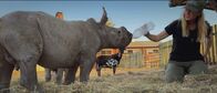 Wildlife Crime - Milliardengeschäft Tierhandel – Jamie Joseph ist eine Tierschutzaktivistin und hat die Organisation "Saving the Wild" zum Schutz von Nashörnern gegründet.