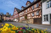 Tobis Städtetrip – Blick auf das Stadttor und das Schloss Braunfels.