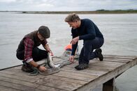 Gordon Ramsay: Kulinarische Abenteuer – Fr, 27.12., 12:00 Uhr