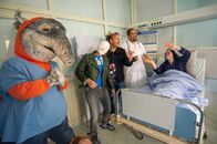 TanzAlarm – TanzTapir, Singa mit Kopfverband und Tom sorgen für Stimmung im Krankenhaus.