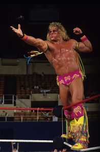 Biography: WWE Legends – Sa, 16.07., 20:15 Uhr
