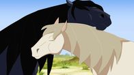 Lenas Ranch – Mistral ist verliebt.