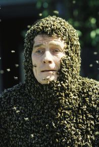 Malcolm mittendrin – Hal (Bryan Cranston)