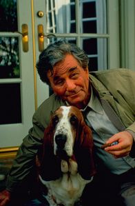 Columbo – Obwohl er regelmäßig über seinen unerzogenen Hund schimpft, liebt Columbo (Peter Falk) ihn sehr.