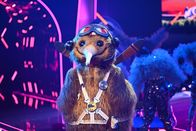 The Masked Singer – Will die Herzen der Zuschauer:innen im Flug erobern: DER KIWI.