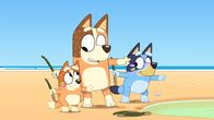 Bluey – Do, 29.05., 05:55 Uhr