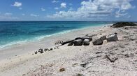 Wildes Hawaii – Vor sieben Millionen Jahren erhob sich Hawaii als vulkanisches Ödland aus dem Meer. Wie haben sich diese Inseln in ein üppiges Paradies verwandelt?