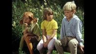 Astrid Lindgren:: Pippi Langstrumpf – Pippi (Inger Nilsson, l.), Annika (Maria Persson, M.) und Tommy (Pär Sundberg, r.) überlegen sich den Text für die Flaschenpost, die ihnen nach dem Verschwinden des Kahns Hilfe bringen soll.