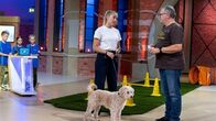 1, 2 oder 3 – Elton und die Welt der Hunde 1