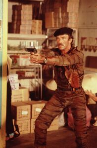 Magnum – MAGNUM, P.I. - SAISON 2 (MAGNUM, P.I. - SEASON 2) - TOM SELLECK
