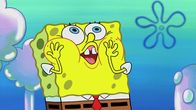 SpongeBob Schwammkopf – SpongeBob