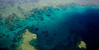 Das Große Barriere Riff – Ribbon Reef, Großes Barriere Riff.
