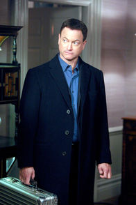 CSI: NY – CSI: NY (2012)