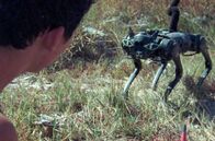 Die Spur – Der jugendliche Strandverkäufer Octavio sucht nach seinem verschwundenen Vater. Seine Nachforschungen führen ihn zu einer ungewöhnlichen Rebellengruppe namens Azul.