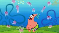 SpongeBob Schwammkopf – Patrick