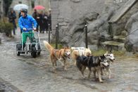 Kesslers Expedition – rbb Fernsehen KESSLERS EXPEDITION, TEIL 1, "So weit die Huskys laufen" Uhr. Michael Kessler zum ersten Mal auf Winterexpedition: Nach drei Expeditionen zwischen Früh- und Hochsommer, nach Kanutour auf der Spree, Eselwanderung an die Ostsee und Floßfahrt auf der Havel ist jetzt Schluss mit den kuscheligen Ausflügen. Der Rundfunk Berlin-Brandenburg (rbb) schickt Michael Kessler zum ersten Mal auf Winterexpedition! In 14 Tagen will Kessler mit seinem Hundequartett über 200 Kilometer zurücklegen. Am 2. Januar 2012 startete er in Potsdam-Babelsberg. Erst nach Abschluss der Dreharbeiten steht fest, ob die Sendung drei- oder vierteilig wird.