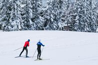 Langlauf: Weltcup – Zwei Personen beim Langlaufen in einem Skigebiet