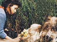 Rotkäppchen – Rotkäppchen (Blanche Kommerell), Wolf (Werner Dissel)