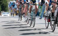 Radsport: Österreich-Rundfahrt – Group of cyclist at professional race