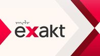 Exakt – Exakt (2021)