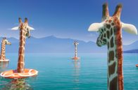 Athleticus – Sehr zu ihrem Leidwesen muss die Giraffe feststellen, dass sie nicht die einzige ist ...