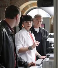 Navy CIS – Ein neuer Fall wartet auf Gibbs (Mark Harmon, r.), McGee (Sean Murray, l.) und Abby (Pauley Perrette, M.) ...