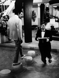 Der Partyschreck – Mit Fassung und Würde trägt der Kellner Levinson (Steve Franken) jenes "Schicksal", das "Der Partyschreck" Hrundi V. Bakshi alias Peter Sellers ihm in der gleichnamigen Filmburleske bereitet. Leider bleibt es nicht bei diesem kleinen Missgeschick. Bakshi, der tölpelhafte Unglücksrabe, stellt wenig später eine ganze Hollywood-Party auf den Kopf.