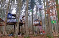 Re: – Rund 20 Baumhausdörfer sind im Dannenröder Forst vor der Räumung aufgebaut worden. Bis zu 300 Aktivisten lebten zeitweise im Wald.