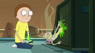 Rick and Morty – Morty Smith (l.)