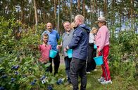 Tietjen campt - der Roadtrip – Die Camper pflücken auf einer Plantage frische Blaubeeren. In der Mitte Hannes Badenhop, Obstgärtner, seine Familie führt den Betrieb.