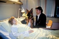 Kommissar Rex – Rex und Richie Moser (Tobias Moretti) besuchen Sylvia Hohenberg (Anne Kasprik) mit einem Blumenstrauß im Krankenhaus.