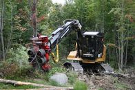 Holzfäller extrem – Di, 18.06., 10:15 Uhr