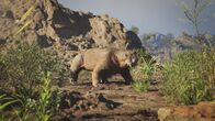 Katastrophen der Erdgeschichte – Lystrosaurus lebt vor etwa 250 Millionen Jahren und überdauert sogar das Massenaussterben an der Perm-Trias-Grenze. Der Pflanzenfresser mit den charakteristischen Stoßzähnen und dem kräftigen Körperbau war in Afrika und Asien verbreitet.