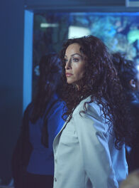CSI: Miami – CSI: Miami (2003)