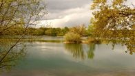 Der Rhein von oben – Der Illinger Altrhein ist der größte der alten Flussarme südlich von Karlsruhe. Ein Paradies für Wasservögel. Kormorane, Enten, Schwäne und Störche und gelegentlich sogar Fischadler lassen sich hier blicken.